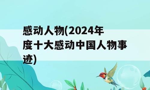 感动人物(2024年度十大感动中国人物事迹)