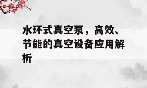 水环式真空泵，高效、节能的真空设备应用解析
