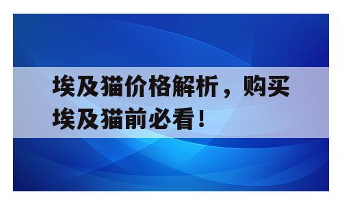 埃及猫价格解析，购买埃及猫前必看！