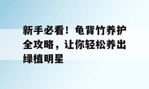 新手必看！龟背竹养护全攻略，让你轻松养出绿植明星