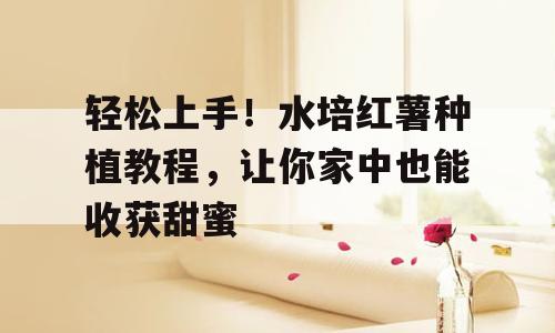 轻松上手！水培红薯种植教程，让你家中也能收获甜蜜