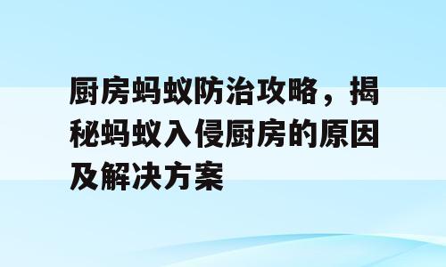 厨房蚂蚁防治攻略，揭秘蚂蚁入侵厨房的原因及解决方案