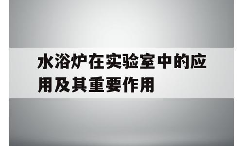 水浴炉在实验室中的应用及其重要作用