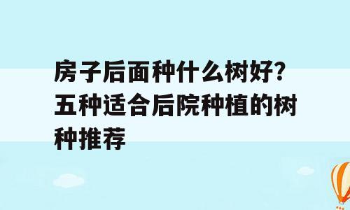 房子后面种什么树好？五种适合后院种植的树种推荐