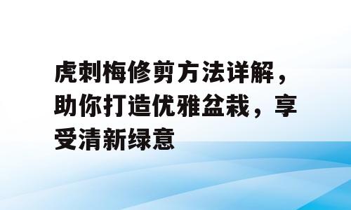 虎刺梅修剪方法详解，助你打造优雅盆栽，享受清新绿意