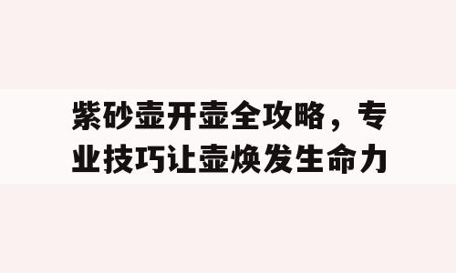 紫砂壶开壶全攻略，专业技巧让壶焕发生命力