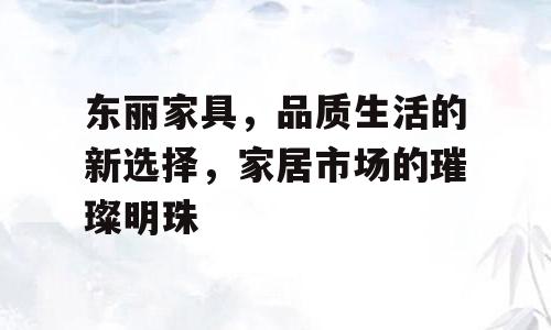 东丽家具，品质生活的新选择，家居市场的璀璨明珠