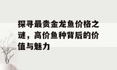 探寻最贵金龙鱼价格之谜，高价鱼种背后的价值与魅力