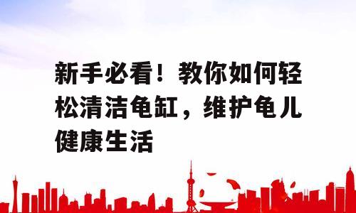 新手必看！教你如何轻松清洁龟缸，维护龟儿健康生活