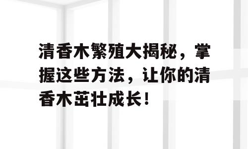 清香木繁殖大揭秘，掌握这些方法，让你的清香木茁壮成长！