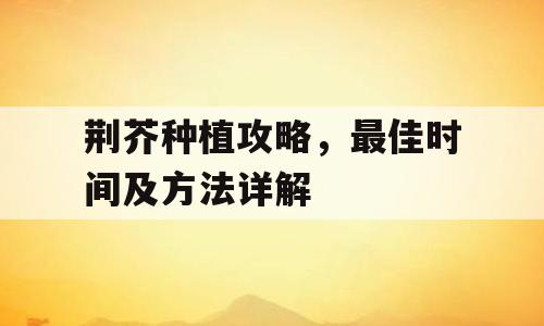 荆芥种植攻略，最佳时间及方法详解