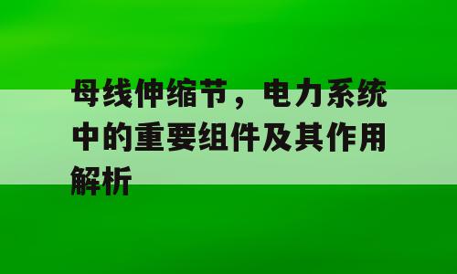 母线伸缩节，电力系统中的重要组件及其作用解析