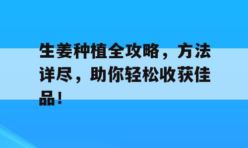 生姜种植全攻略，方法详尽，助你轻松收获佳品！