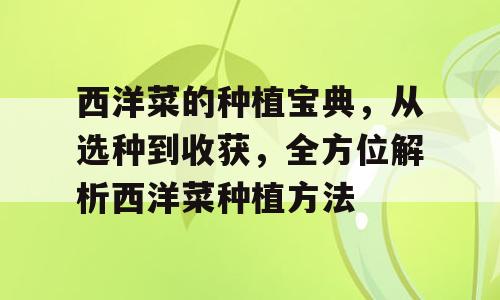 西洋菜的种植宝典，从选种到收获，全方位解析西洋菜种植方法