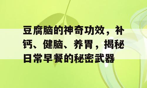 豆腐脑的神奇功效，补钙、健脑、养胃，揭秘日常早餐的秘密武器