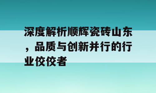深度解析顺辉瓷砖山东，品质与创新并行的行业佼佼者