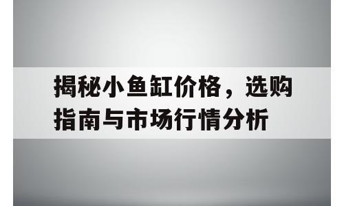 揭秘小鱼缸价格，选购指南与市场行情分析