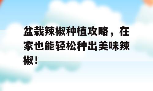 盆栽辣椒种植攻略，在家也能轻松种出美味辣椒！