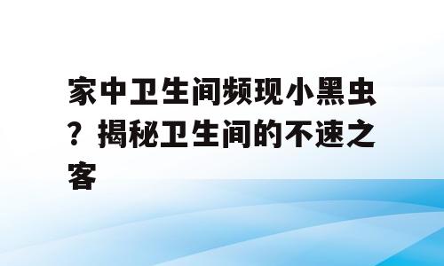 家中卫生间频现小黑虫？揭秘卫生间的不速之客