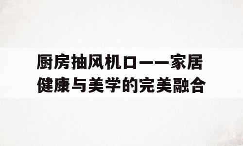 厨房抽风机口——家居健康与美学的完美融合