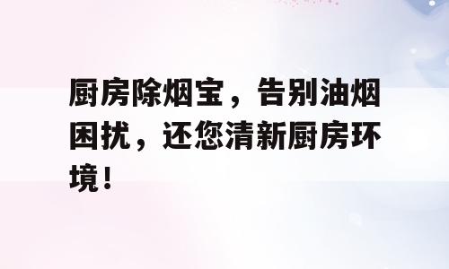 厨房除烟宝，告别油烟困扰，还您清新厨房环境！