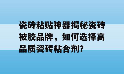 瓷砖粘贴神器揭秘瓷砖被胶品牌，如何选择高品质瓷砖粘合剂？