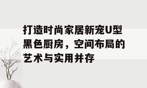 打造时尚家居新宠U型黑色厨房，空间布局的艺术与实用并存
