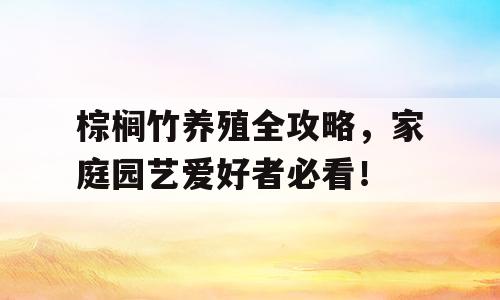 棕榈竹养殖全攻略，家庭园艺爱好者必看！