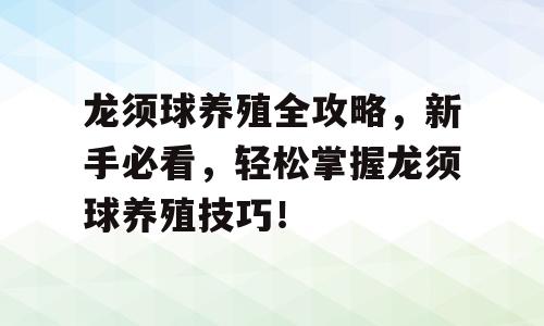 龙须球养殖全攻略，新手必看，轻松掌握龙须球养殖技巧！
