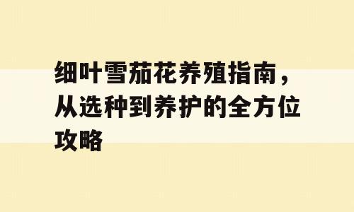 细叶雪茄花养殖指南，从选种到养护的全方位攻略