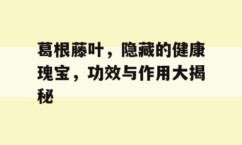 葛根藤叶，隐藏的健康瑰宝，功效与作用大揭秘