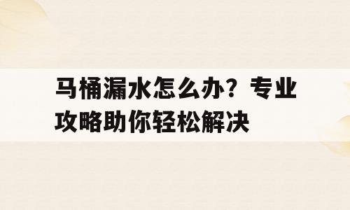 马桶漏水怎么办？专业攻略助你轻松解决