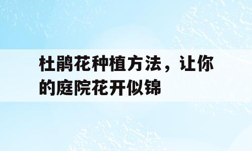 杜鹃花种植方法，让你的庭院花开似锦