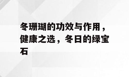 冬珊瑚的功效与作用，健康之选，冬日的绿宝石