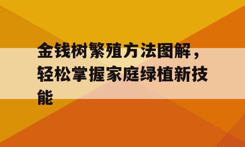 金钱树繁殖方法图解，轻松掌握家庭绿植新技能
