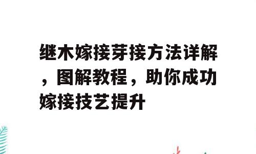 继木嫁接芽接方法详解，图解教程，助你成功嫁接技艺提升