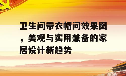 卫生间带衣帽间效果图，美观与实用兼备的家居设计新趋势