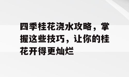 四季桂花浇水攻略，掌握这些技巧，让你的桂花开得更灿烂