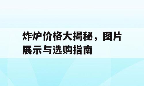 炸炉价格大揭秘，图片展示与选购指南