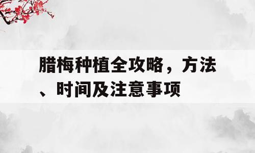 腊梅种植全攻略，方法、时间及注意事项