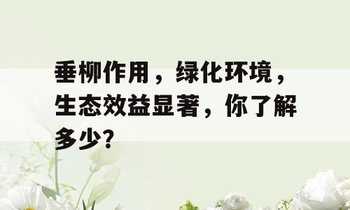 垂柳作用，绿化环境，生态效益显著，你了解多少？