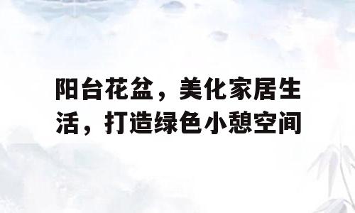 阳台花盆，美化家居生活，打造绿色小憩空间