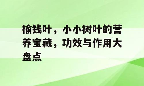 榆钱叶，小小树叶的营养宝藏，功效与作用大盘点