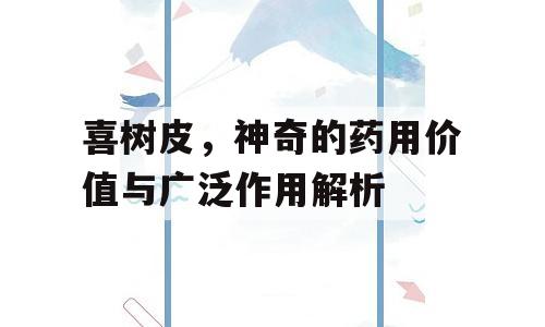 喜树皮，神奇的药用价值与广泛作用解析