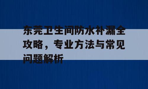 东莞卫生间防水补漏全攻略，专业方法与常见问题解析