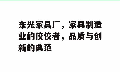 东光家具厂，家具制造业的佼佼者，品质与创新的典范