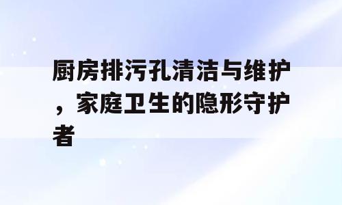 厨房排污孔清洁与维护，家庭卫生的隐形守护者