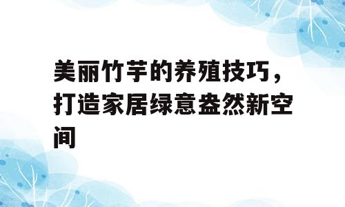 美丽竹芋的养殖技巧，打造家居绿意盎然新空间