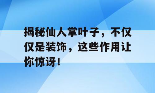 揭秘仙人掌叶子，不仅仅是装饰，这些作用让你惊讶！