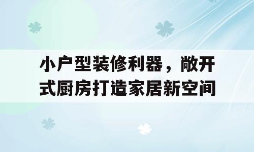 小户型装修利器，敞开式厨房打造家居新空间